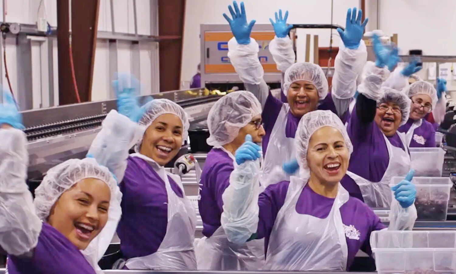 Gloved hands sorting Medjool dates on a conveyor
