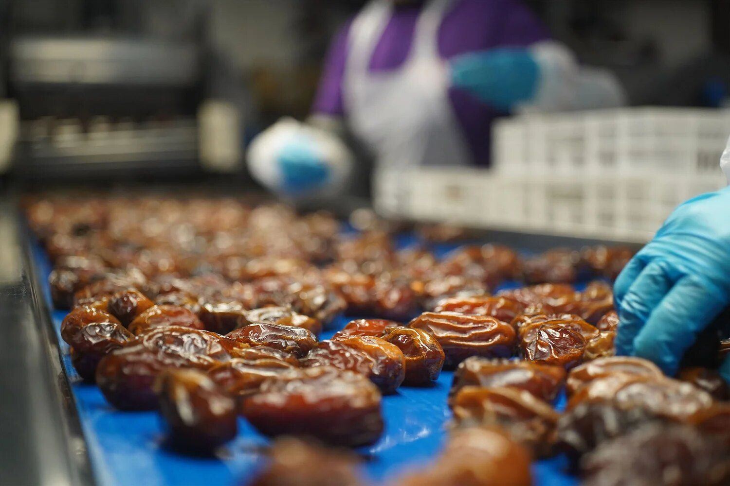 Packing line inspection